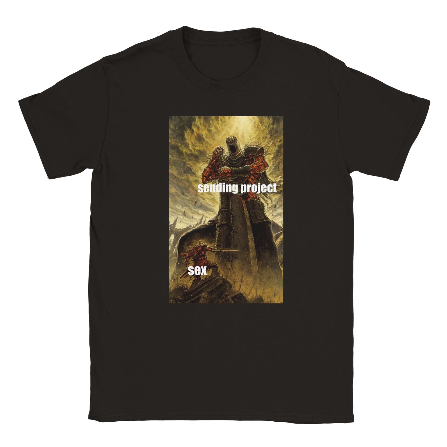 Funny climbing shirt – Sending Projects Sex T Shirt