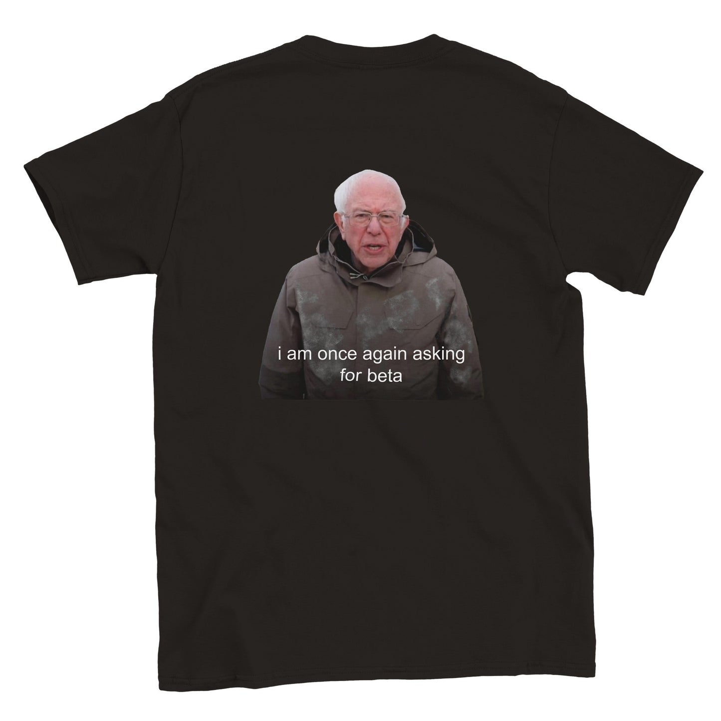 Funny climbing shirt – I Am Once Again Asking For Beta T Shirt Backside